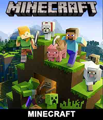 MINECRAFT 704